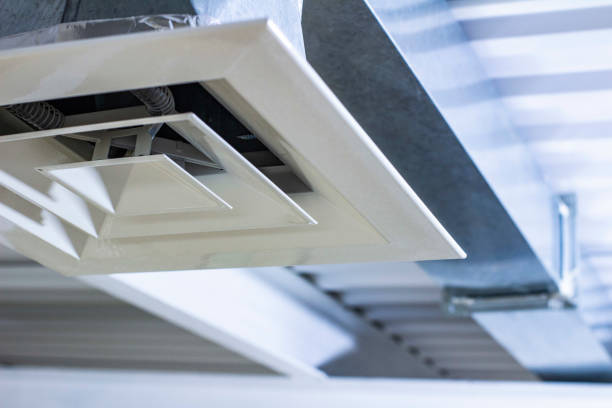 Best Air Duct Sanitizing Services  in Highland Park, MI